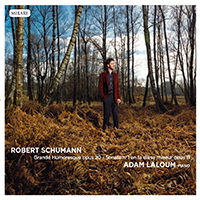 Adam Laloum - Robert Schumann: Sonate pour piano n.1 - Grande Humoresque