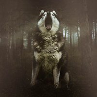 Munknorr - Wolf Spirit (Single)