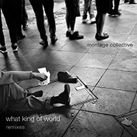 Montage Collective - What Kind Of World (Remixes)