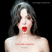 Montage Collective - Into The Interim (Remixes)