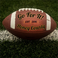 Honey County - Go For It (Single)