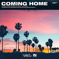 TooManyLeftHands - Coming Home (with NIGHT, MOVES) (Single)