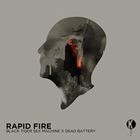 Black Tiger Sex Machine - Rapid Fire (with Dead Battery) (Single)