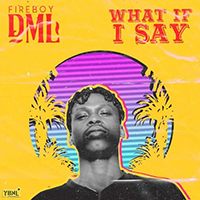 Fireboy Dml - What If I Say (Single)