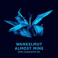 Wankelmut - Almost Mine (Radio Edit) (feat. Charlotte OC)