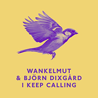 Wankelmut - I Keep Calling (with Bjorn Dixgard)