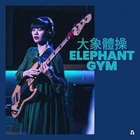 Elephant Gym - Elephant Gym On Audiotree Live