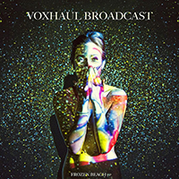 Voxhaul Broadcast - Frozen Beach (Single)