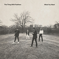 Thing With Feathers - What You Want (Single)