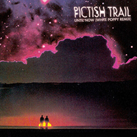 Pictish Trail - Until Now (White Poppy Remix)