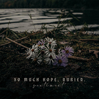 So Much Hope Buried - Sentiment