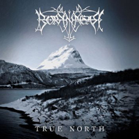 Borknagar - True North (Limited Edition)