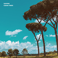 Sakura - Cedar Trees (Single)