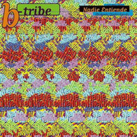 B-Tribe - Nadie Entiende - Nobody Understands (Single)