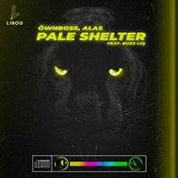 Ownboss - Pale Shelter (Radio Edit with Alas / Buzz Liq) (Single)