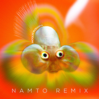 Courtois, Kevin - No Quiero Fama (NAMTO remix with Danpaul) (Single)