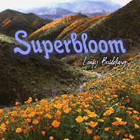 Loafy Building - Superbloom (Single)