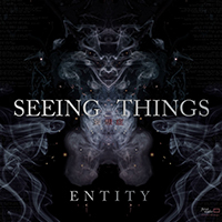 Seeing Things - Entity (Single)