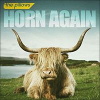 Pillows - Horn Again
