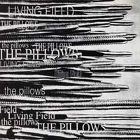 Pillows - Living Field