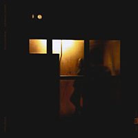 Vasandani, Sachal - Midnight Shelter (feat. Romain Collin)