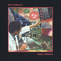 Wot Gorilla - Angel Numbers (EP)