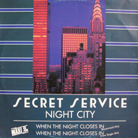 Secret Service - Night City