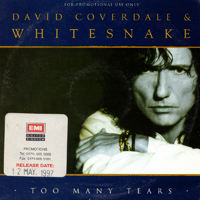 David Coverdale - Too Many Tears (Radio Edit) [Single]