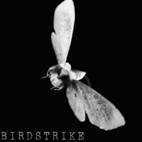 Ars Pro Vita - Birdstrike (Single)