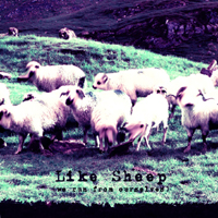 Niv Ast - Like Sheep (We Run From Ourselves)