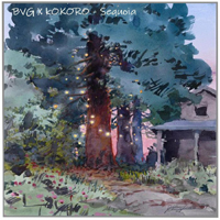 BVG - Sequoia (Single)