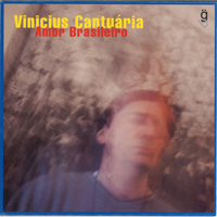 Vinicius Cantuaria - Amor Brasileiro