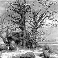 Graveland - The Celtic Winter