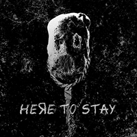 Rotnest - Here To Stay