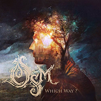 OSM - Which Way?