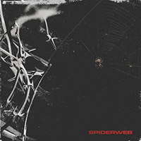 Frontieres - Spiderweb
