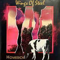 Wings of Steel (NLD) - Homesick