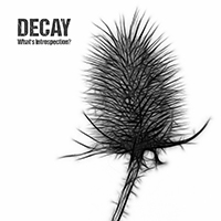 Decay (CZE) - What's Introspection?
