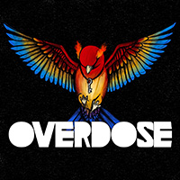 Overdose (POL) - Słowik