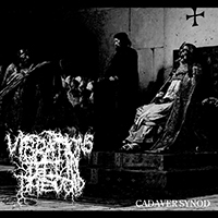 Vibrations Felt In The Void - Cadaver Synod