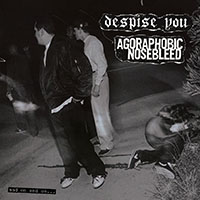 Despise You - And on and on... (split)