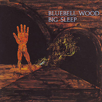 Big Sleep (GBR) - Bluebell Wood