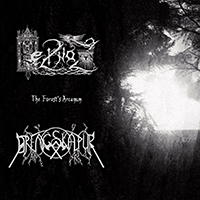 Heilnoz - The Forest’s Arcanum (split)