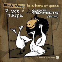 Talpa - Black Sheep In A Herd Of Geese (Side Effects Remix) (Single)