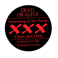 Dead or Alive - Something In My House (XXX Clean And Dirty)