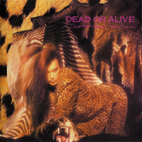 Dead or Alive - Sophisticated Boom Boom (Remastered 2007)