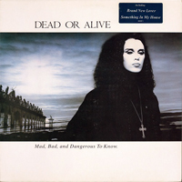 Dead or Alive - Mad, Bad And Dangerous To Know (LP)
