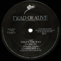 Dead or Alive - That's The Way (I Like It) (Extended Version) [12'' Single]