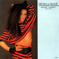 Dead or Alive - What I Want [12'' Single]