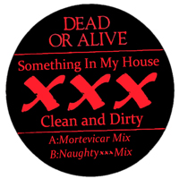 Dead or Alive - Something In My House (XXX Clean And Dirty) [12'' Promo Single]